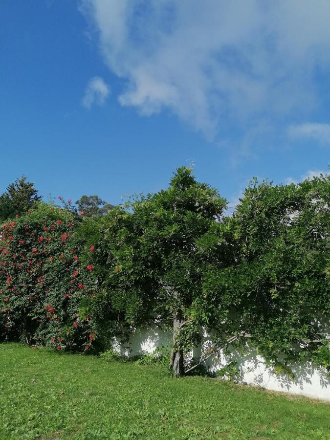 Casa Das Castanheiras Виейра-ду-Минью Экстерьер фото